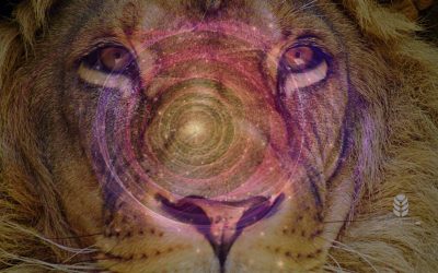 8 pasos para manifestar tus deseos más profundos en el portal del León 8-8